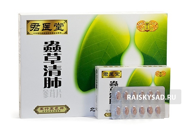 картинка Капсулы «Чунцао Цинфэй» (Chongcao Qingfei Jiaonang) для лечения легких от магазина Райский Сад