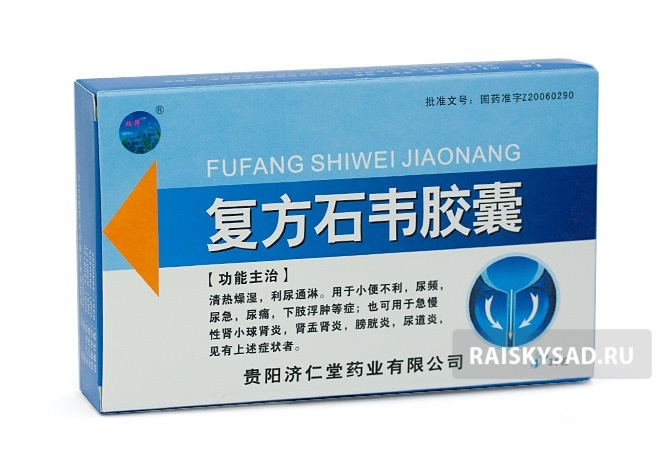 картинка Таблетки "Фуфан Шивэй" (Fufang Shiwei Pian/ Fu Fang Shi Wei Pian) от магазина Райский Сад